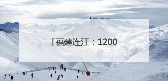 福建连江：1200万只海马历经8个月培育 迎来收获季