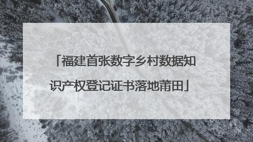 福建首张数字乡村数据知识产权登记证书落地莆田
