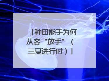 种田能手为何从容“放手”（三夏进行时）
