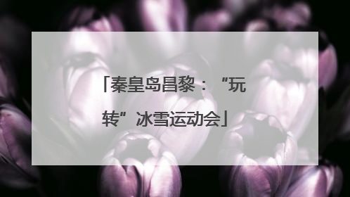 秦皇岛昌黎：“玩转”冰雪运动会