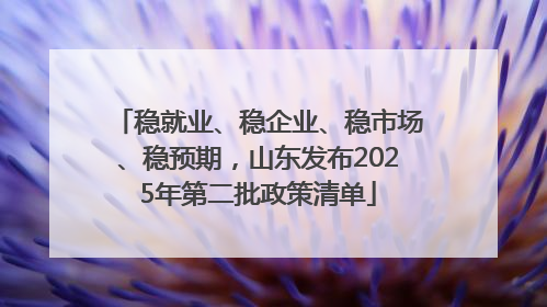 稳就业、稳企业、稳市场、稳预期，山东发布2025年第二批政策清单