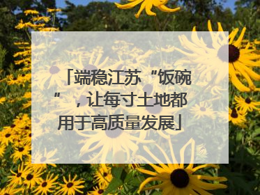 端稳江苏“饭碗”，让每寸土地都用于高质量发展