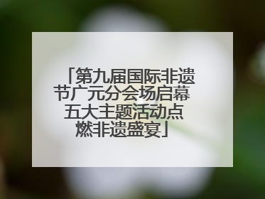 第九届国际非遗节广元分会场启幕 五大主题活动点燃非遗盛宴