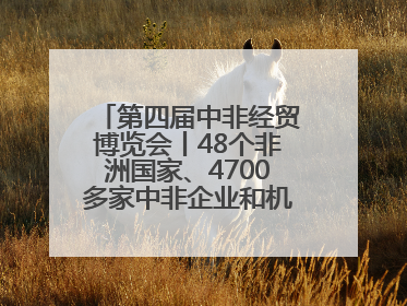 第四届中非经贸博览会丨48个非洲国家、4700多家中非企业和机构将参会
