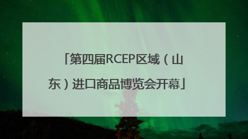 第四届RCEP区域（山东）进口商品博览会开幕