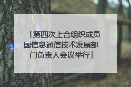 第四次上合组织成员国信息通信技术发展部门负责人会议举行