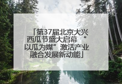 第37届北京大兴西瓜节盛大启幕 “以瓜为媒”激活产业融合发展新动能