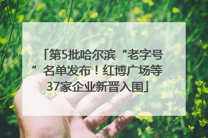 第5批哈尔滨“老字号”名单发布！红博广场等37家企业新晋入围