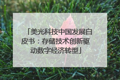 美光科技中国发展白皮书：存储技术创新驱动数字经济转型