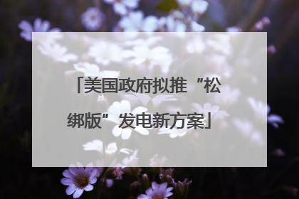 美国政府拟推“松绑版”发电新方案