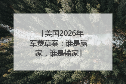 美国2026年军费草案：谁是赢家，谁是输家