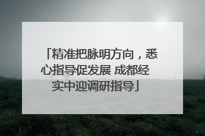 精准把脉明方向，悉心指导促发展 成都经实中迎调研指导