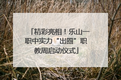 精彩亮相！乐山一职中实力“出圈”职教周启动仪式