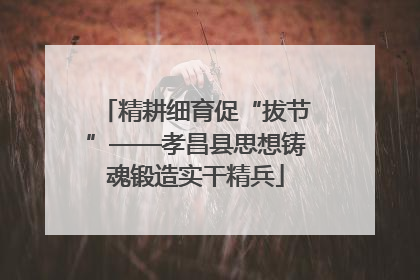 精耕细育促“拔节”——孝昌县思想铸魂锻造实干精兵