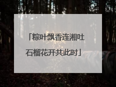 粽叶飘香连湘吐 石榴花开共此时