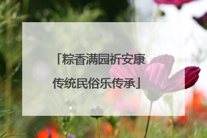 粽香满园祈安康 传统民俗乐传承