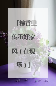 粽香里传承好家风（在现场）