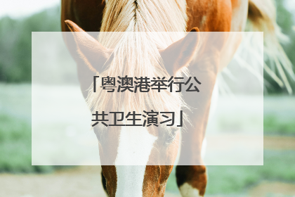 粤澳港举行公共卫生演习