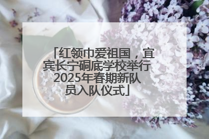 红领巾爱祖国，宜宾长宁硐底学校举行2025年春期新队员入队仪式