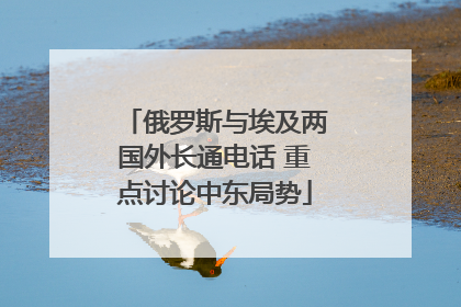 俄罗斯与埃及两国外长通电话 重点讨论中东局势
