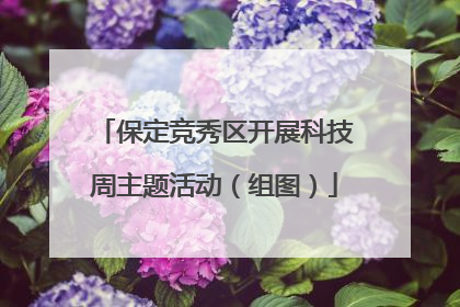 保定竞秀区开展科技周主题活动（组图）