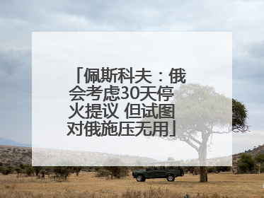 佩斯科夫：俄会考虑30天停火提议 但试图对俄施压无用
