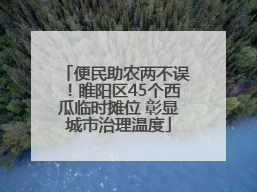 便民助农两不误！睢阳区45个西瓜临时摊位 彰显城市治理温度