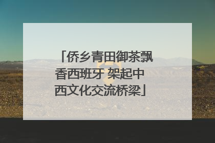 侨乡青田御茶飘香西班牙 架起中西文化交流桥梁