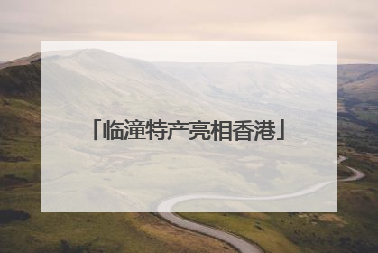 临潼特产亮相香港