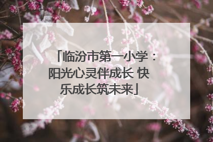 临汾市第一小学：阳光心灵伴成长 快乐成长筑未来