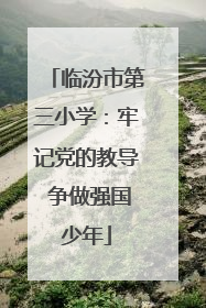 临汾市第三小学：牢记党的教导 争做强国少年