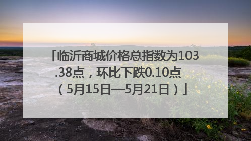 临沂商城价格总指数为103.38点，环比下跌0.10点（5月15日—5月21日）