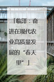 临泽：奋进在现代农业高质量发展的“春天里”