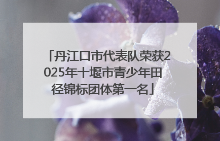 丹江口市代表队荣获2025年十堰市青少年田径锦标团体第一名