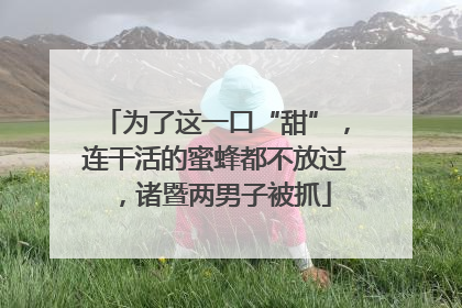为了这一口“甜”，连干活的蜜蜂都不放过，诸暨两男子被抓