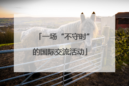 一场“不守时”的国际交流活动