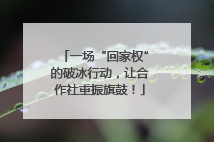 一场“回家权”的破冰行动，让合作社重振旗鼓！