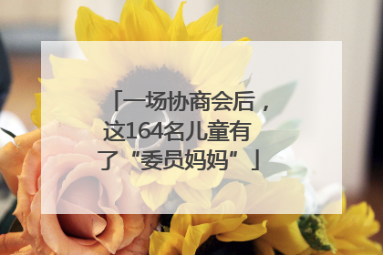 一场协商会后，这164名儿童有了“委员妈妈”