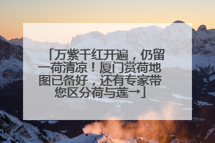 万紫千红开遍，仍留一荷清凉！厦门赏荷地图已备好，还有专家带您区分荷与莲→