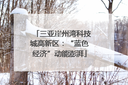 三亚崖州湾科技城高新区：“蓝色经济”动能澎湃