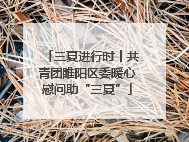 三夏进行时丨共青团睢阳区委暖心慰问助“三夏”