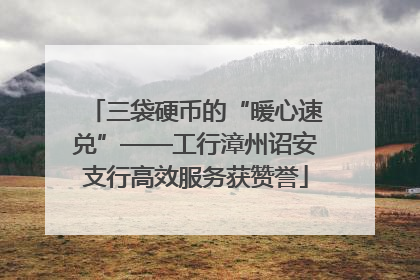 三袋硬币的“暖心速兑”——工行漳州诏安支行高效服务获赞誉