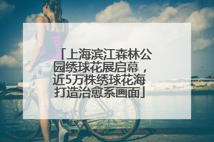 上海滨江森林公园绣球花展启幕，近5万株绣球花海打造治愈系画面