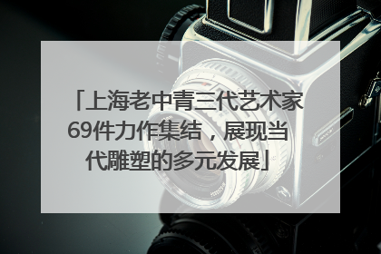 上海老中青三代艺术家69件力作集结，展现当代雕塑的多元发展