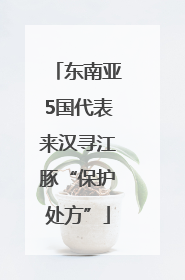 东南亚5国代表来汉寻江豚“保护处方”