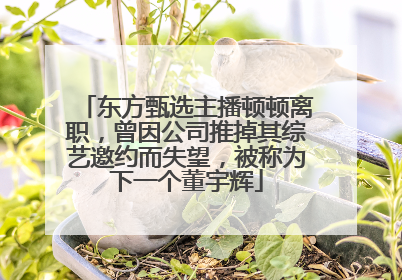 东方甄选主播顿顿离职，曾因公司推掉其综艺邀约而失望，被称为下一个董宇辉