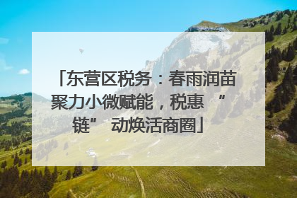 东营区税务：春雨润苗聚力小微赋能，税惠 “链” 动焕活商圈