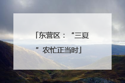 东营区：“三夏”农忙正当时