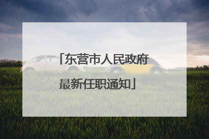 东营市人民政府最新任职通知