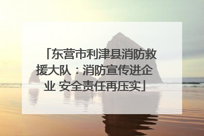 东营市利津县消防救援大队：消防宣传进企业 安全责任再压实
